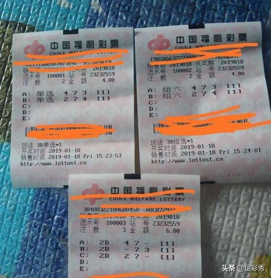 揭秘香港6合开彩，今日直播背后的真相与风险香港6合开彩开奖结果今天直播现场