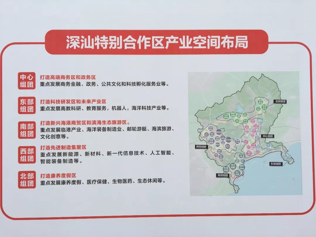 揭秘香港6合资料大全，十二生肖与波路板信息的深度解析香港6合总彩12生肖