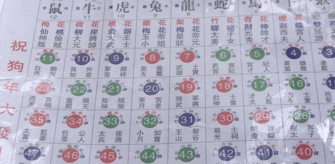 探索2049年香港六合资料，揭秘6盒宝的奥秘