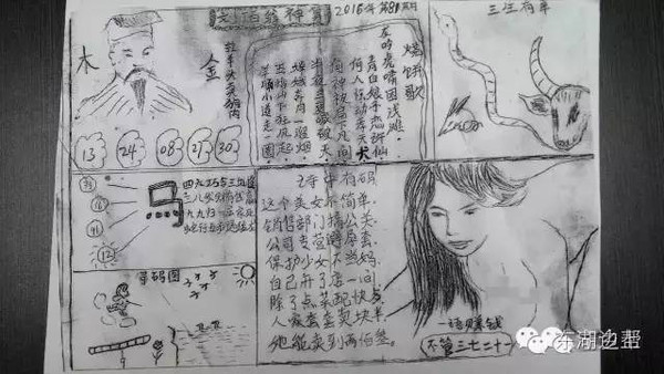 探索未来，香港六合资料大全204年137期揭秘