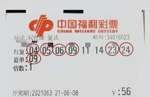 今日香港6合203年开奖结果查询，揭秘最新中彩奇迹与幸运密码香港6合开奖结果记录20|9年