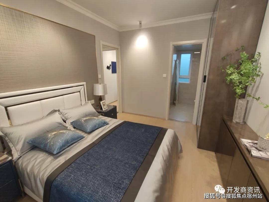 探索香港6合开奖的奥秘，官方网站与时间一览表解析香港6合开奖官网开奖时间一览表最新