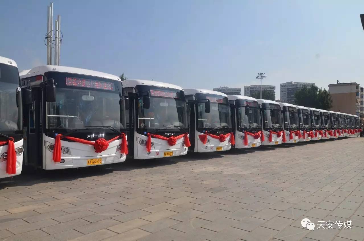 探索香港6路公交车，城市脉动的穿梭之旅香港6路公交车路线图高清
