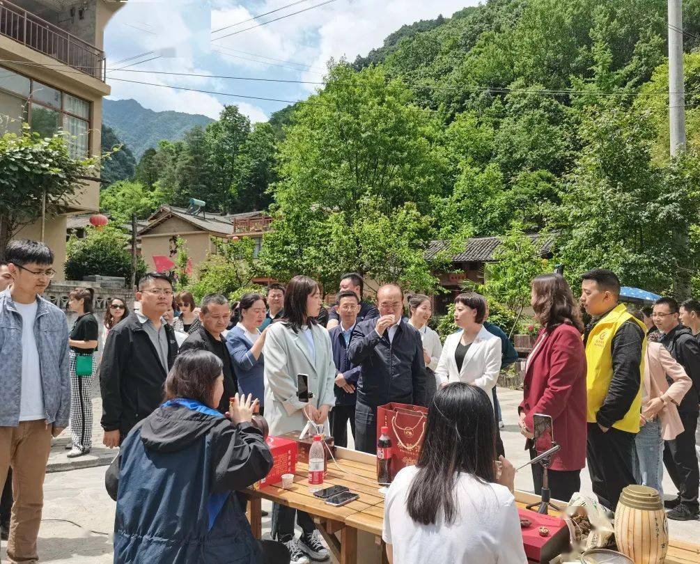 揭秘香港6合总彩开奖现场，公正、透明与惊喜并存看香港6合总彩开奖现场