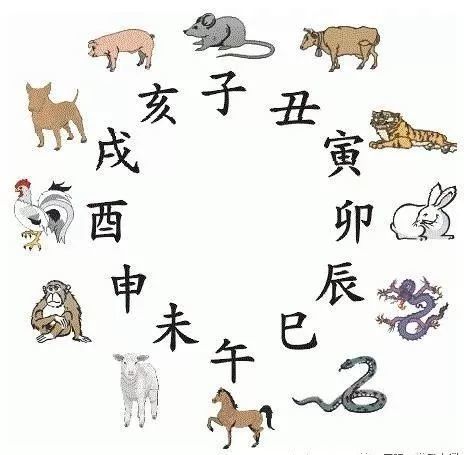 揭秘香港6合12生肖表，一张图解尽显玄机2021香港6合和彩生肖数字